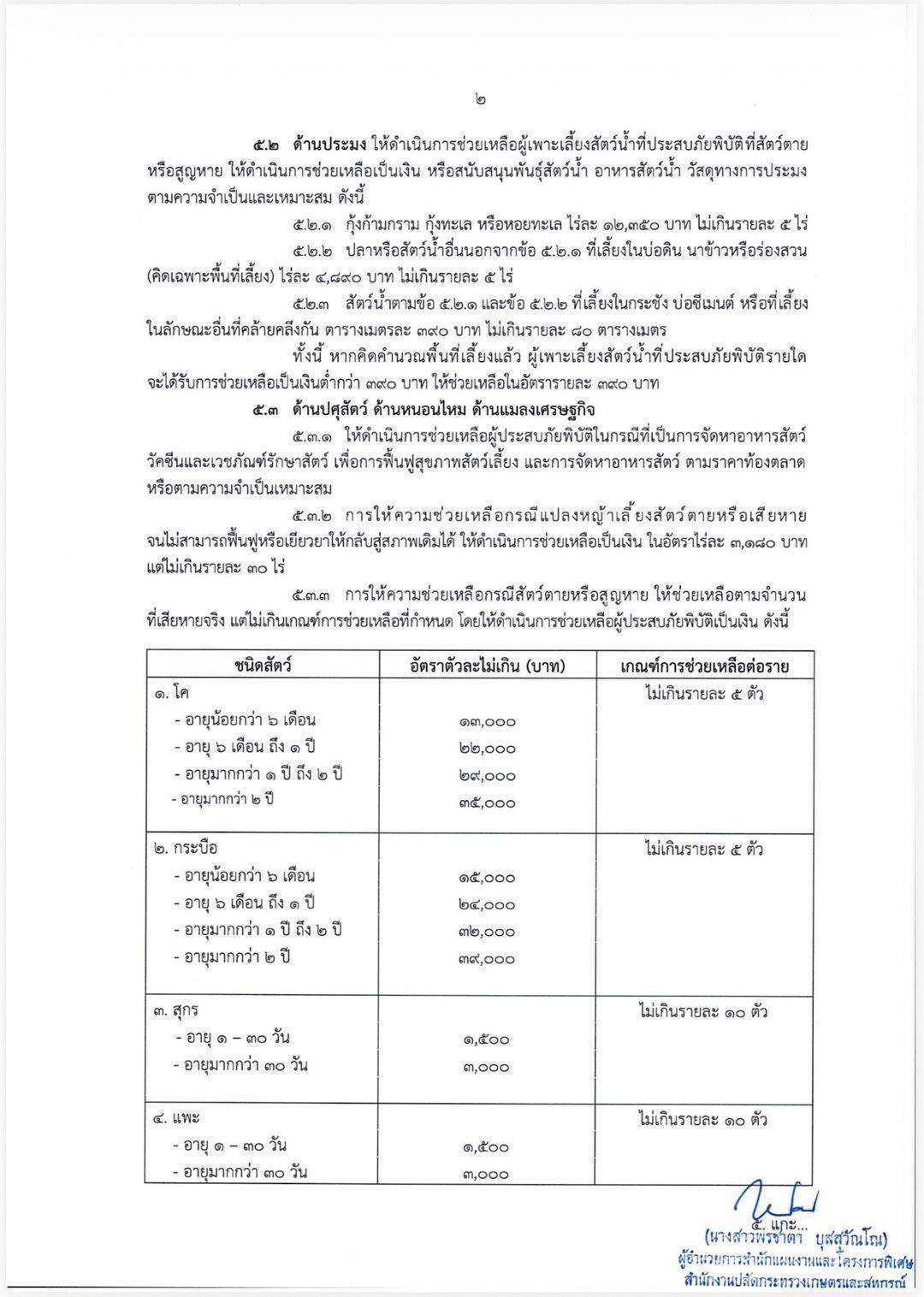 สวนยาง สวนยาง