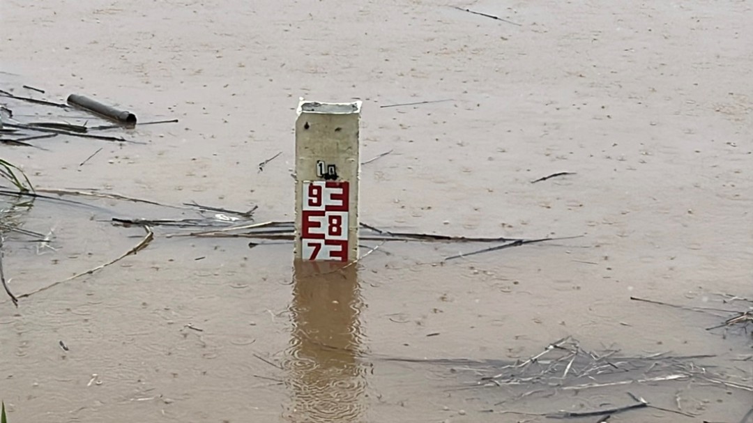 S__58777655_0_0