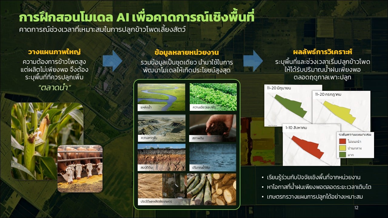 Slide12