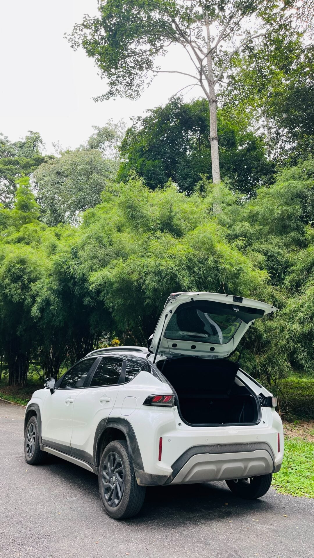 b3