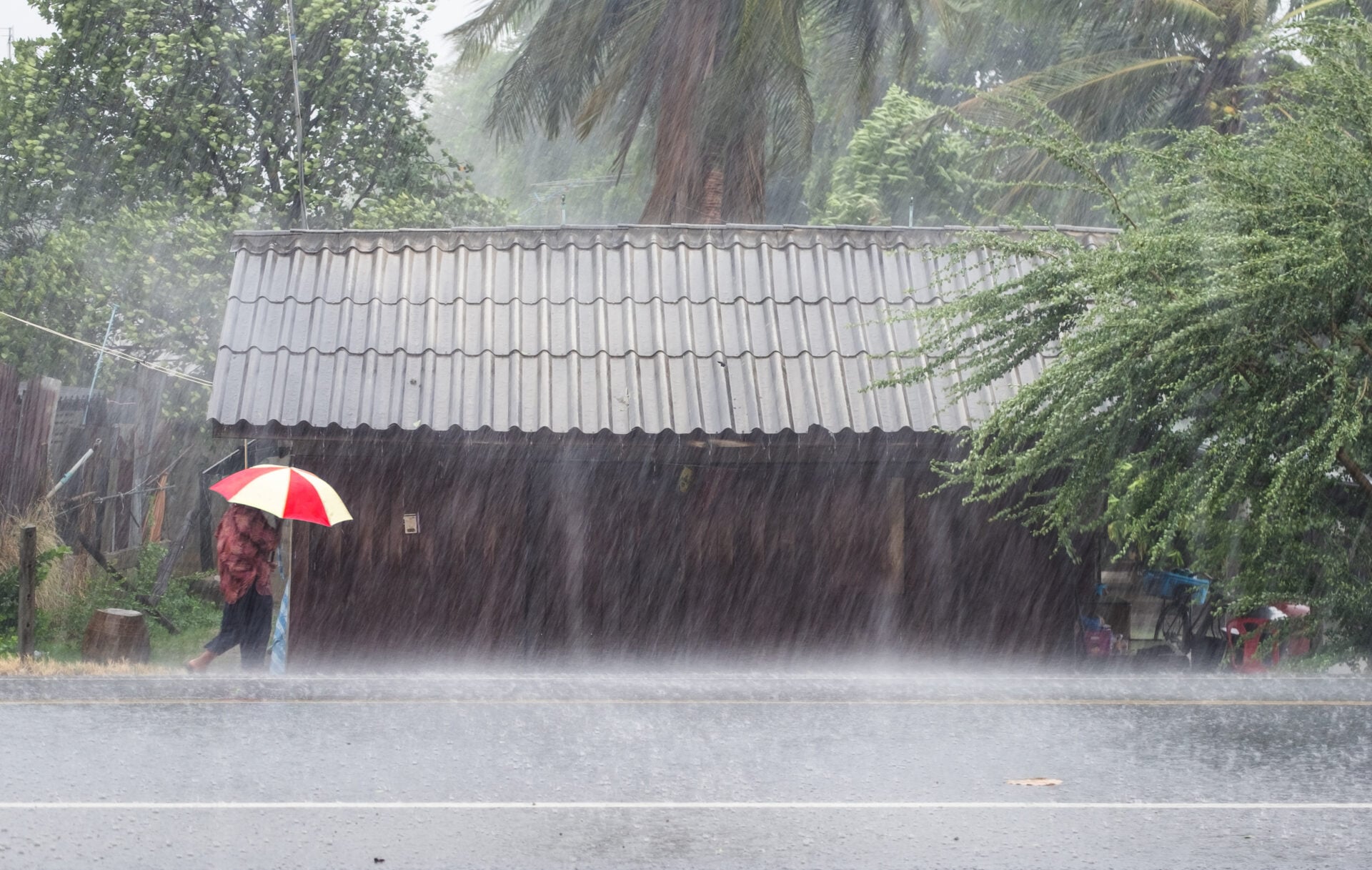 ฝนตก