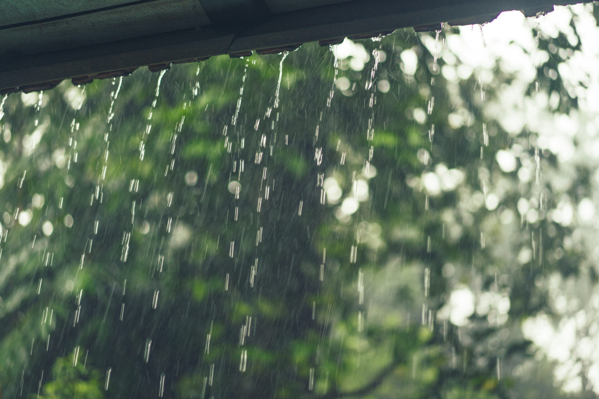 ฝนตก