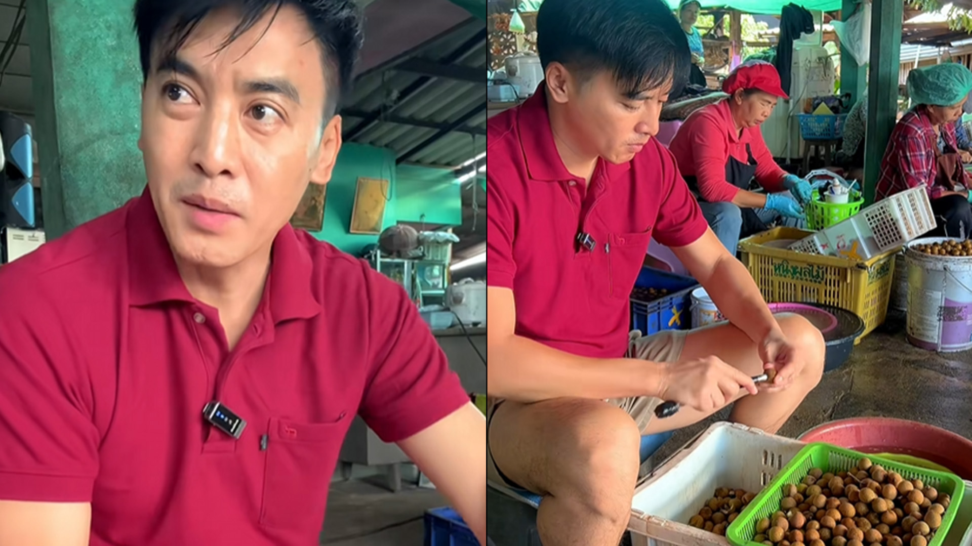 โกโก้