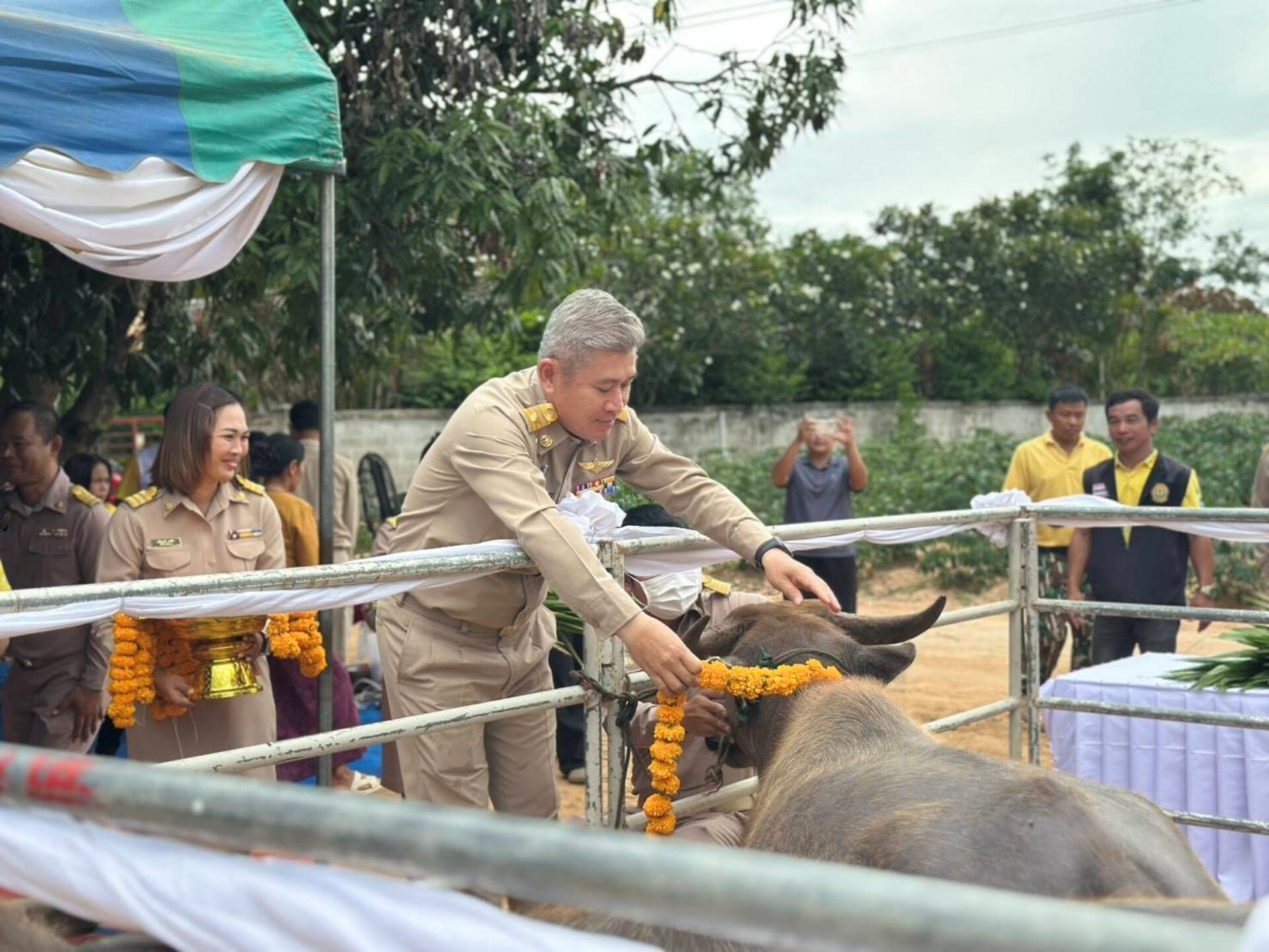 ปศุสัตว์จังหวัด