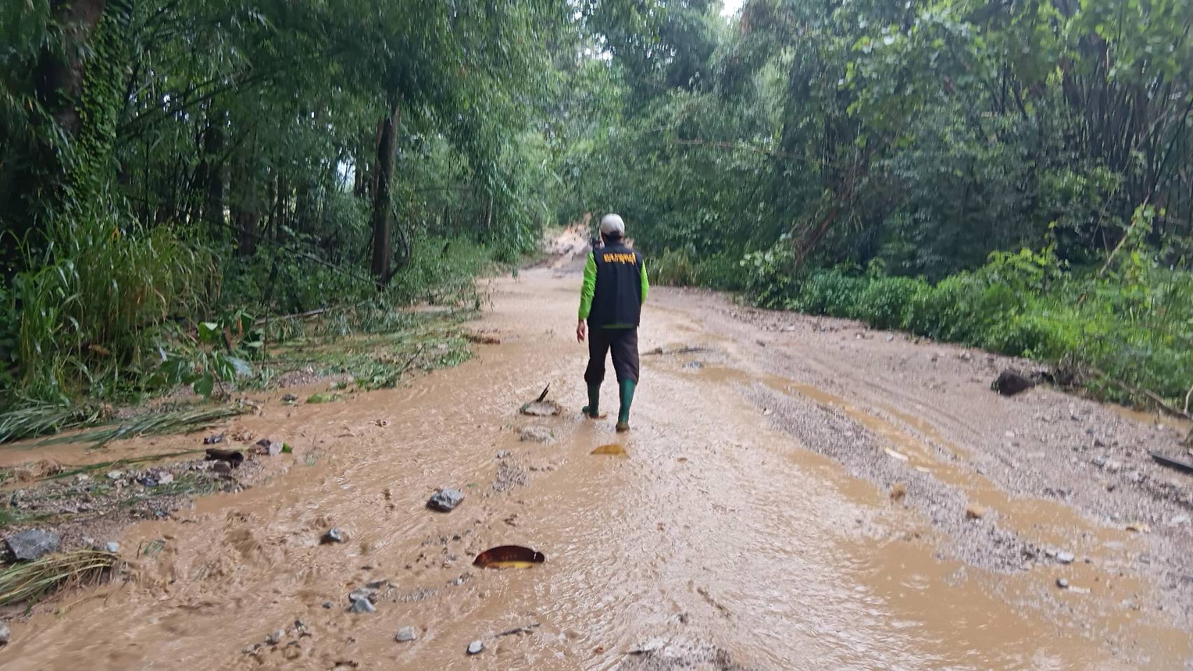 น้ำป่า