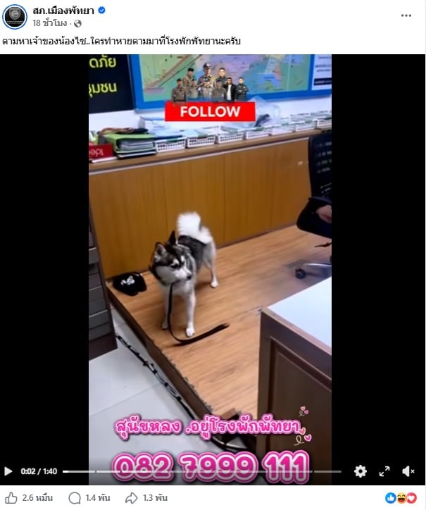 หมา