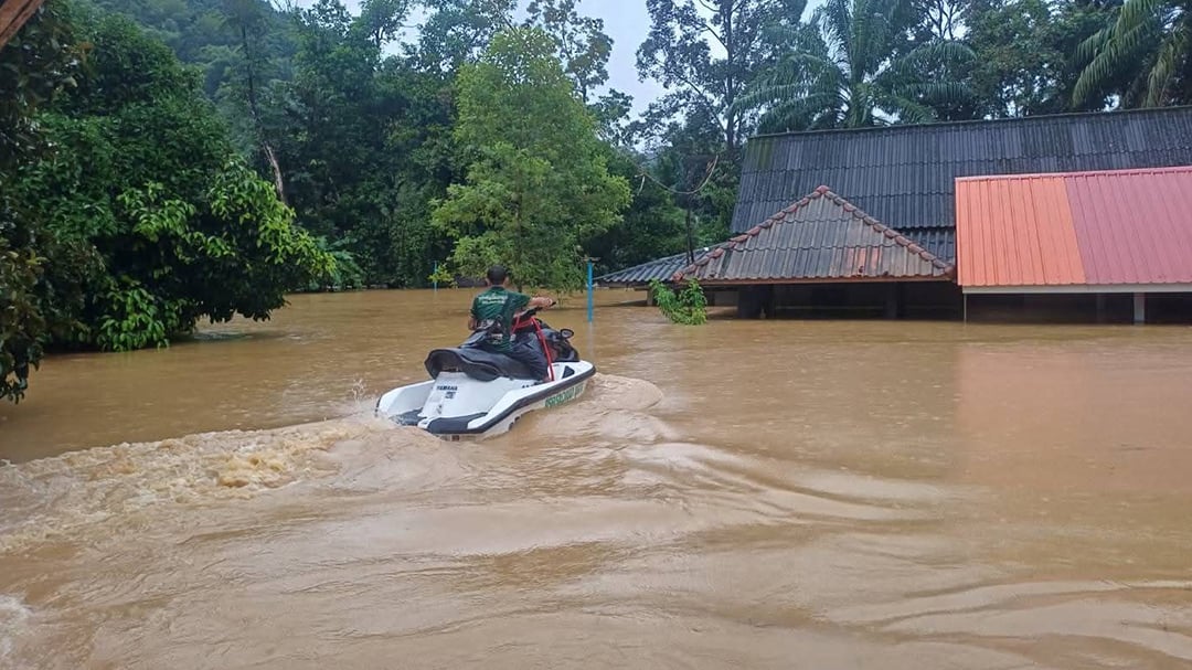 น้ำป่า