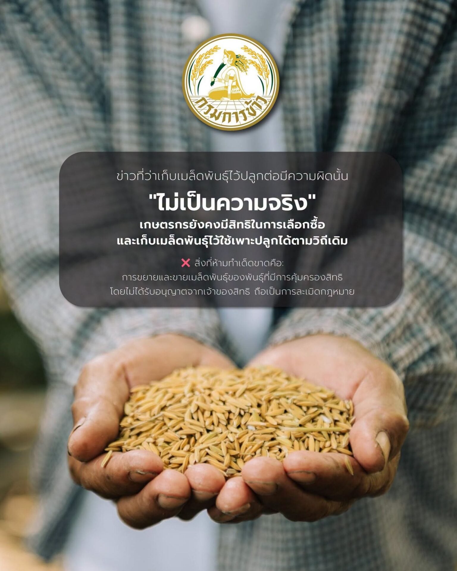 รวงข้าว