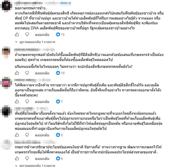 รวงข้าว