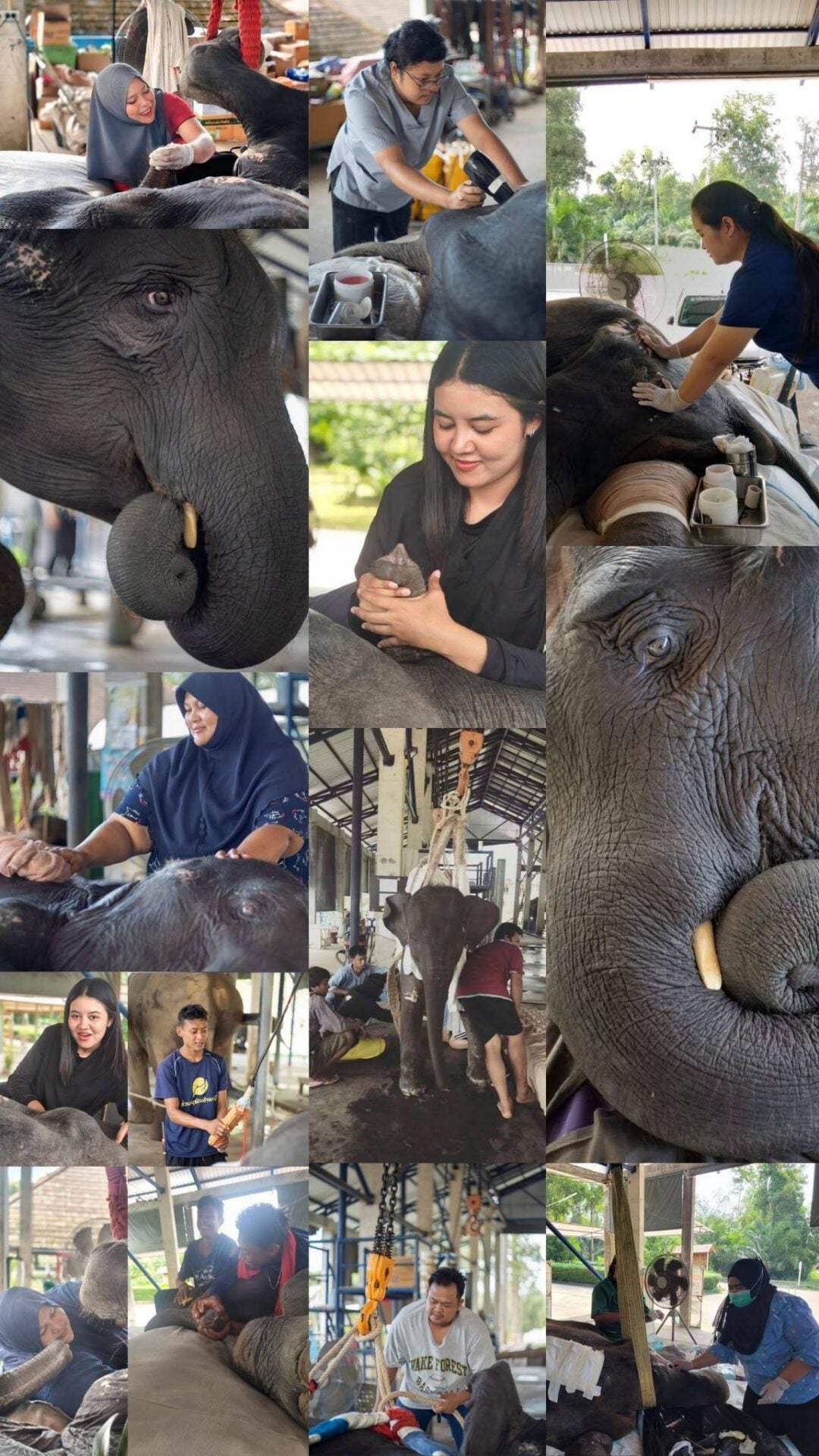 พังบัวสวรรค์ พังบัวสวรรค์