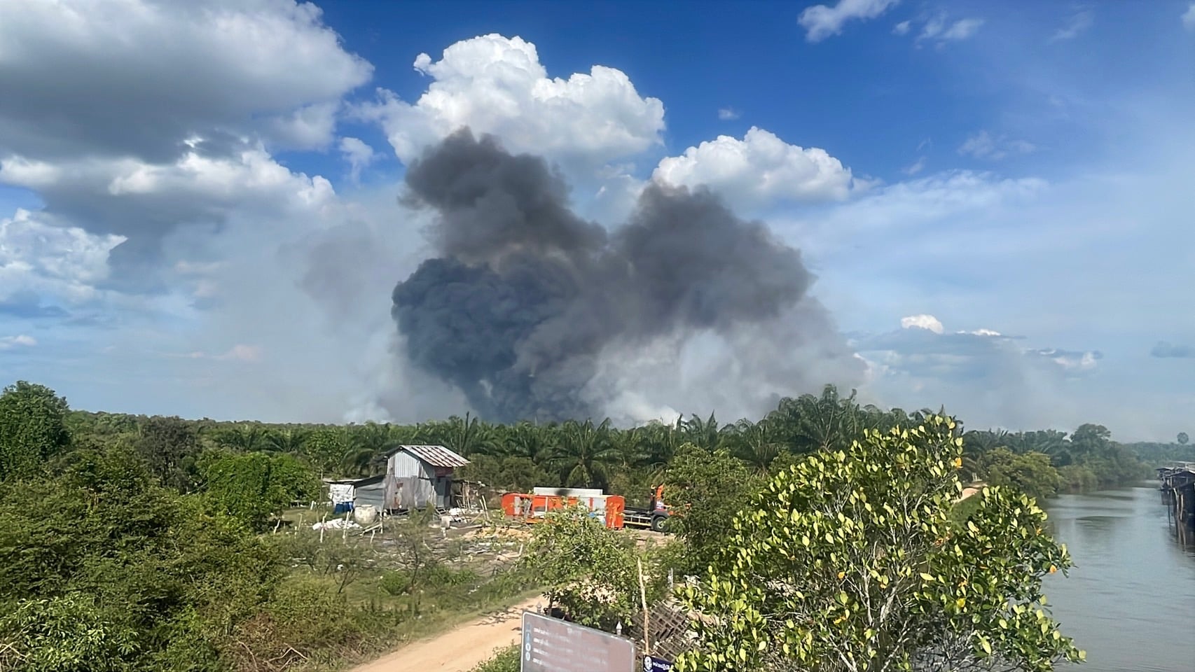 ไฟไหม้ป่าพรุ