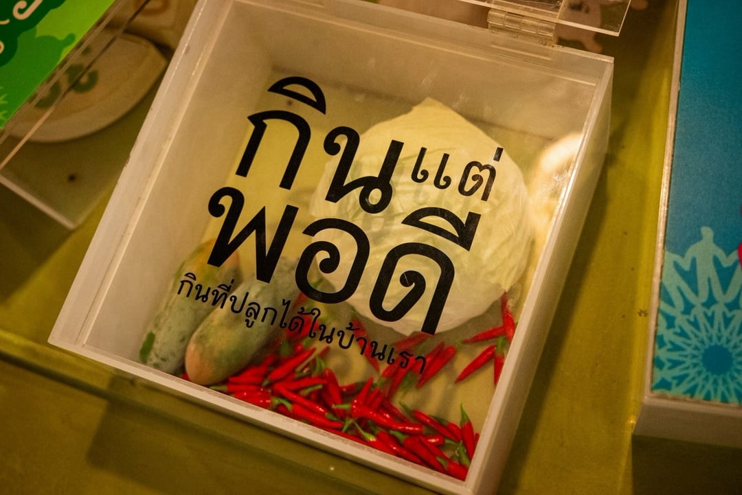 LINE_ALBUM_2026.9.8_260908_20_0