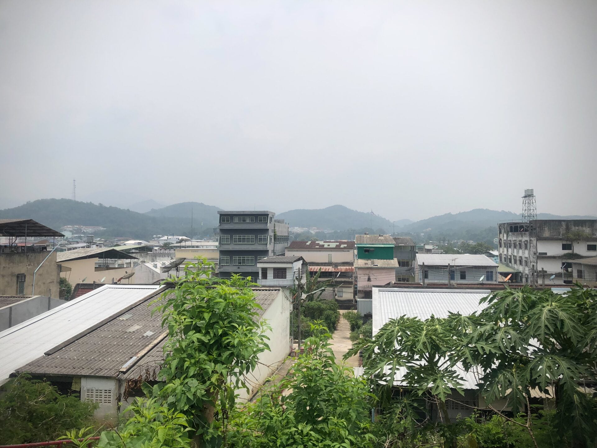 S__13123888_0