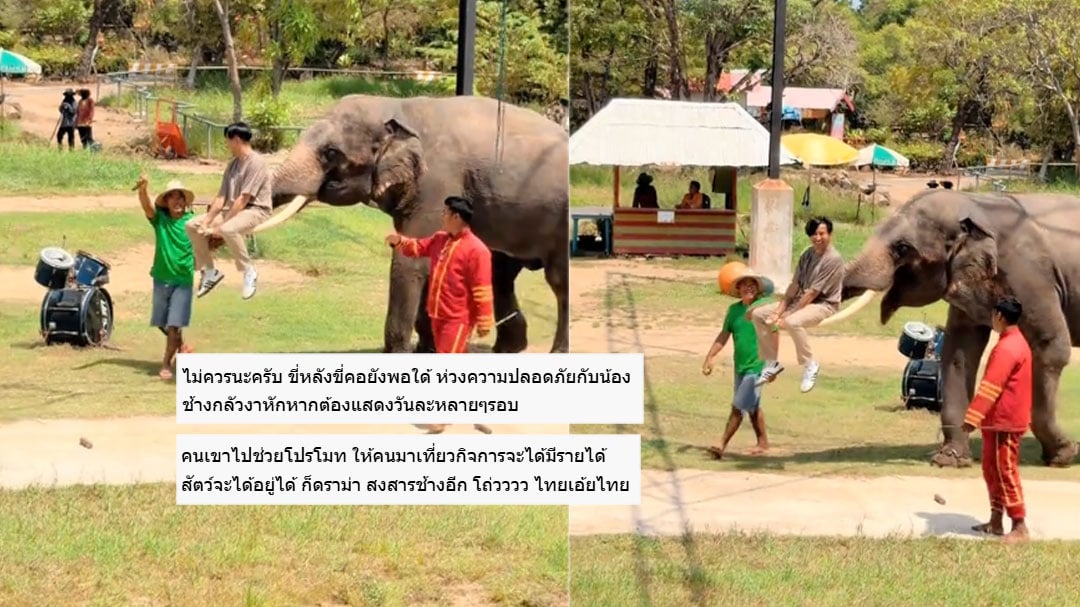 บอลเชิญยิ้ม บอลเชิญยิ้ม