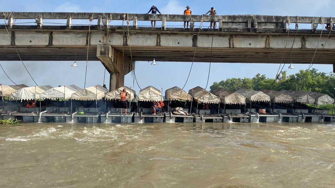 เรือผลักดันน้ำ เรือผลักดันน้ำ