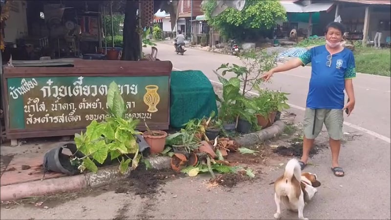 ร้านก๋วยเตี๋ยว ร้านก๋วยเตี๋ยว