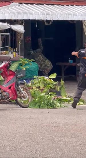 ร้านก๋วยเตี๋ยว ร้านก๋วยเตี๋ยว
