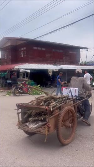ร้านก๋วยเตี๋ยว ร้านก๋วยเตี๋ยว