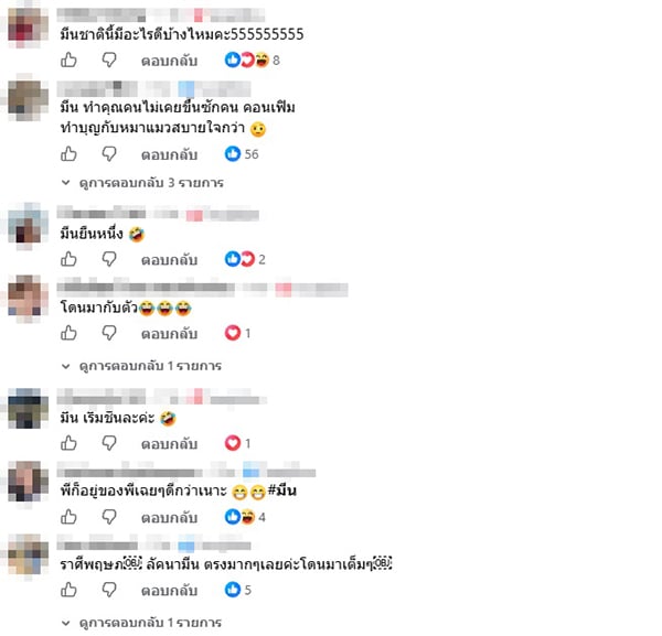 หมอช้าง หมอช้าง
