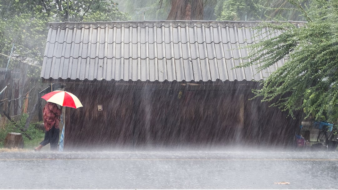 ฝนตก