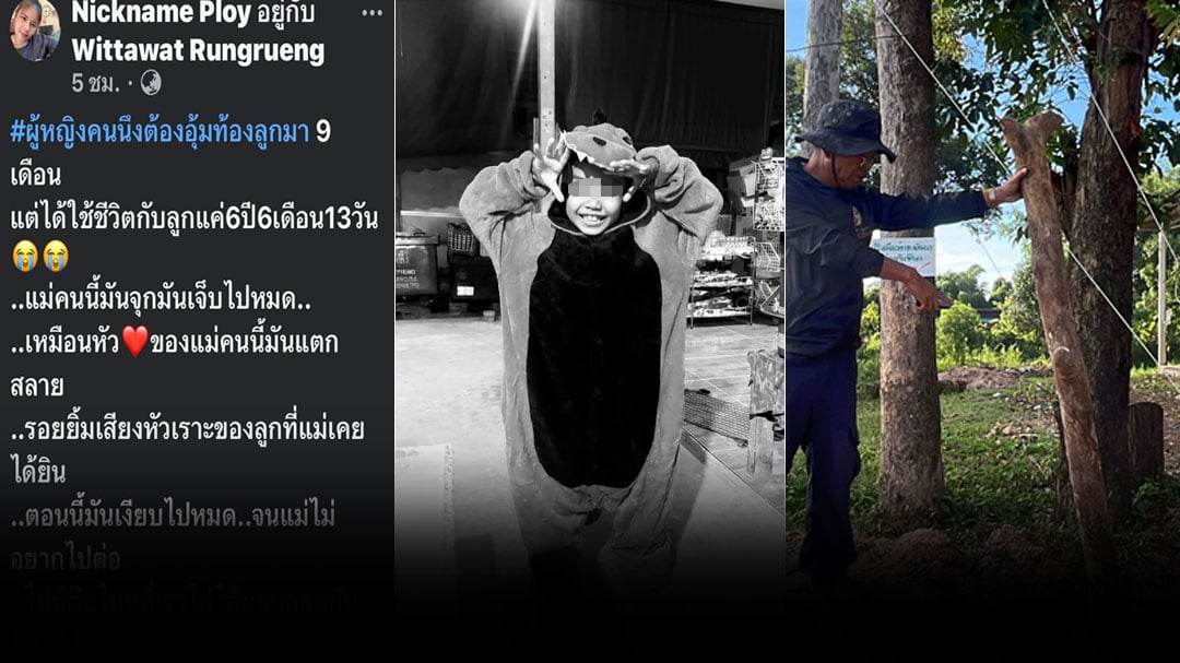 ปกเว็บ-โลโก้แดง