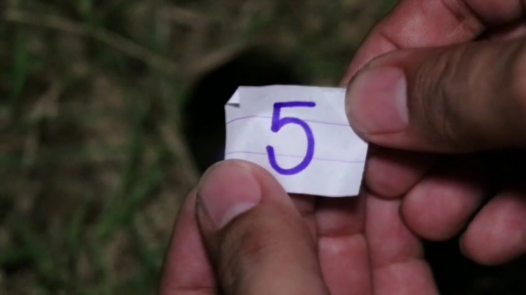 พญาบึ้ง (5)