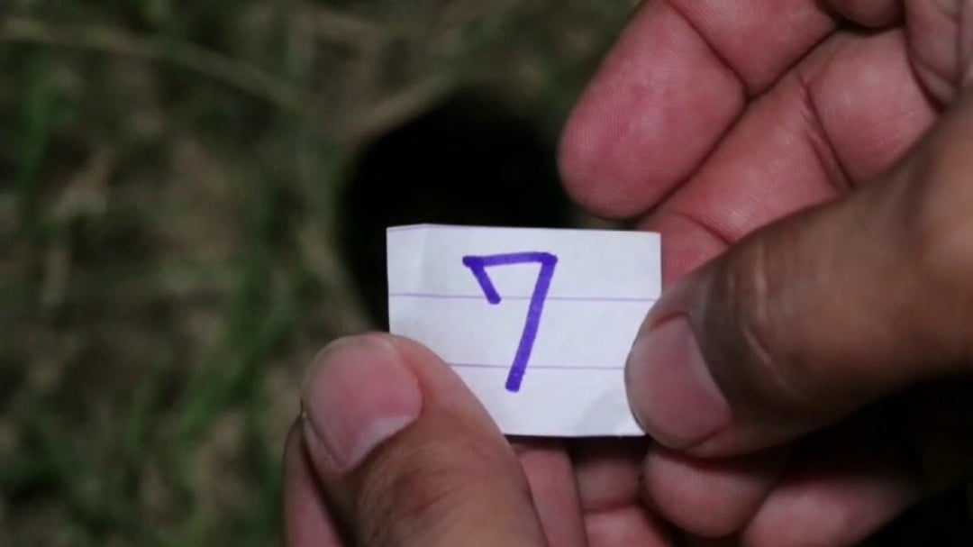 พญาบึ้ง (7)